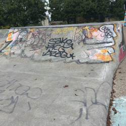 Bloblands Skatepark - 08/09/2018 - Ben Holmes / The Skateparks Project