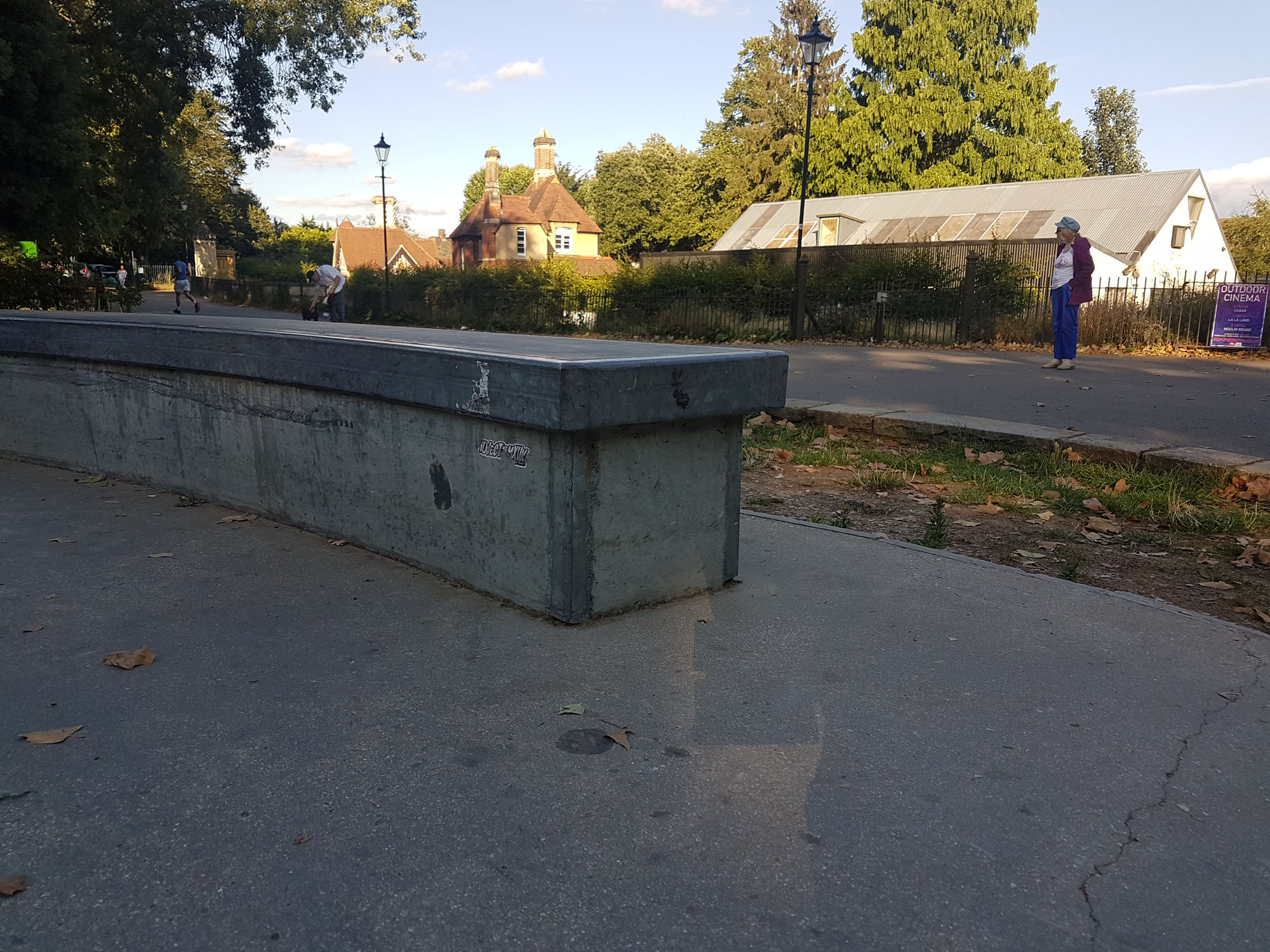 Fulham Bishop's Park Skatepark - 19/08/2018 - Alex Jordan / The Skateparks Project