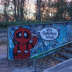 Platform 1 Skatepark - 30/11/2018 - Stephanie Taylor